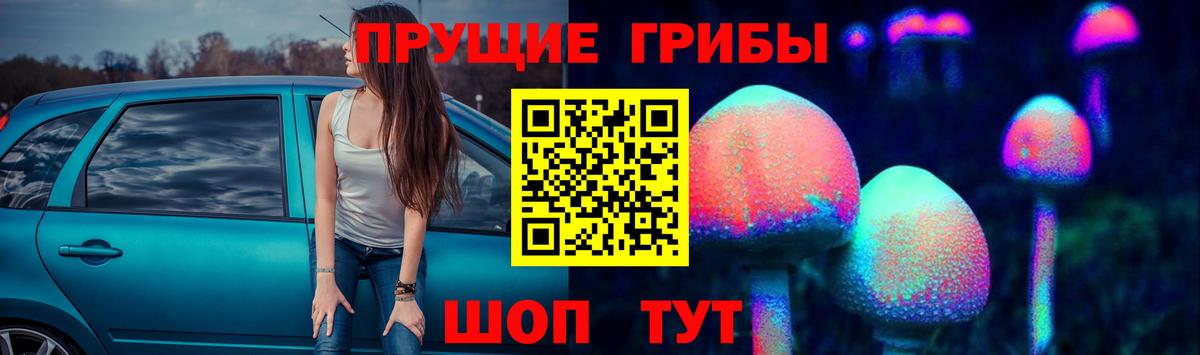Елец  Галлюциногенные грибы MAGIC MUSHROOMS  Вход с VPN 